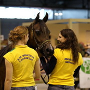 Arabi a Milano - Italy