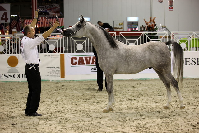 Arabi a Milano - Italy