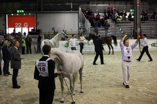 Arabi a Milano - Italy