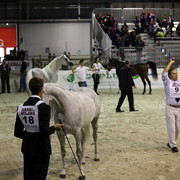 Arabi a Milano - Italy