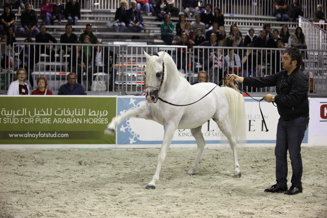 Arabi a Milano - Italy