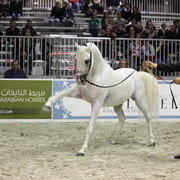 Arabi a Milano - Italy