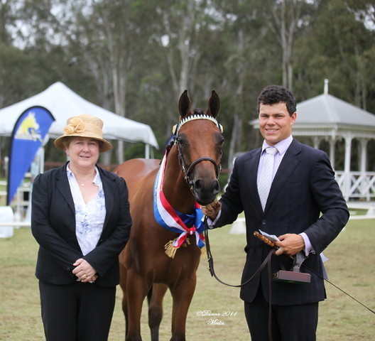 Australian National Arabina Stud Horse Show 2011