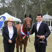 Australian National Arabina Stud Horse Show 2011