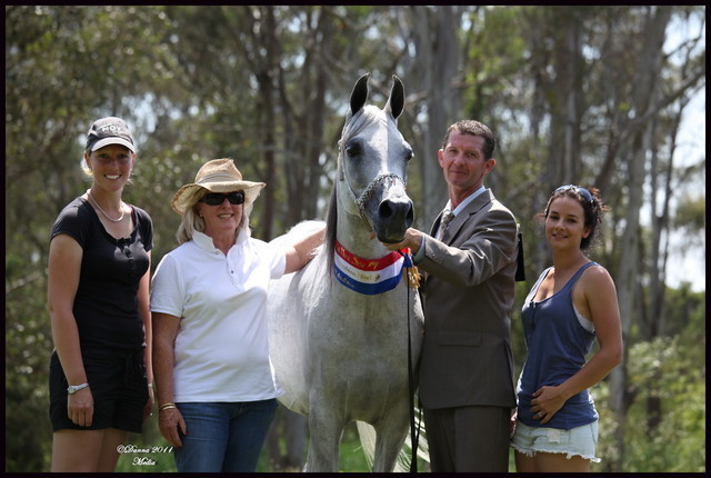 Australian National Arabina Stud Horse Show 2011