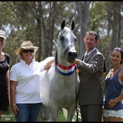 Australian National Arabina Stud Horse Show 2011