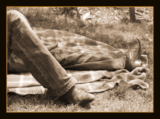 Australian National Arabina Stud Horse Show 2011