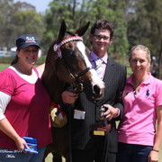 Australian National Arabina Stud Horse Show 2011