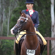 Australian National Arabina Stud Horse Show 2011