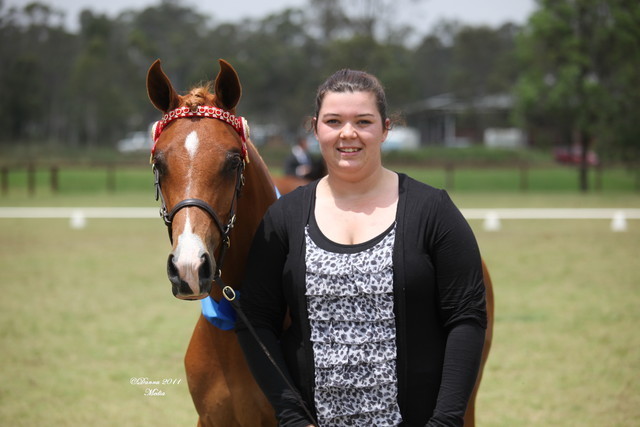 Australian National Arabina Stud Horse Show 2011