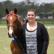 Australian National Arabina Stud Horse Show 2011