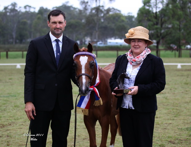 Australian National Arabina Stud Horse Show 2011
