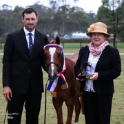 Australian National Arabina Stud Horse Show 2011