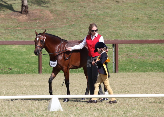 Australian National Arabina Stud Horse Show 2011