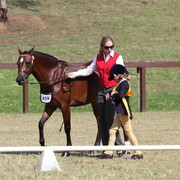 Australian National Arabina Stud Horse Show 2011