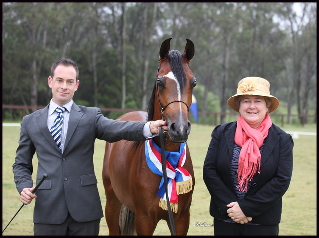 Australian National Arabina Stud Horse Show 2011