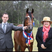 Australian National Arabina Stud Horse Show 2011
