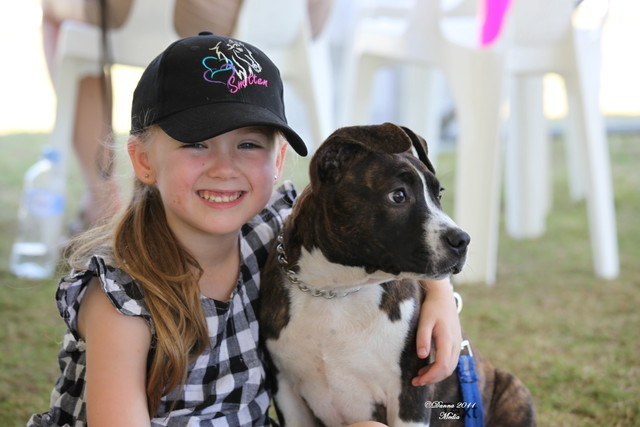 Australian National Arabina Stud Horse Show 2011