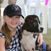 Australian National Arabina Stud Horse Show 2011