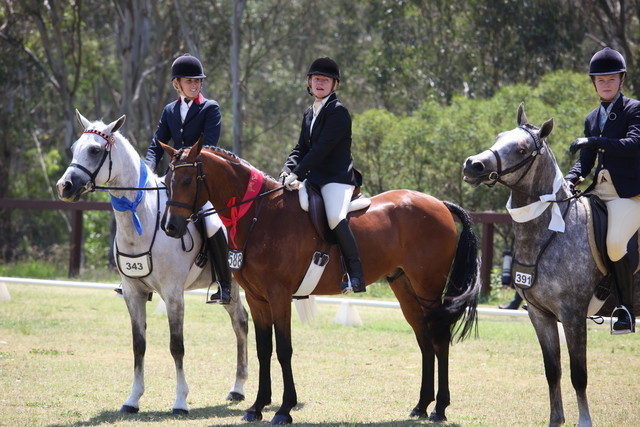 Australian National Arabina Stud Horse Show 2011