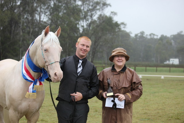 Australian National Arabina Stud Horse Show 2011