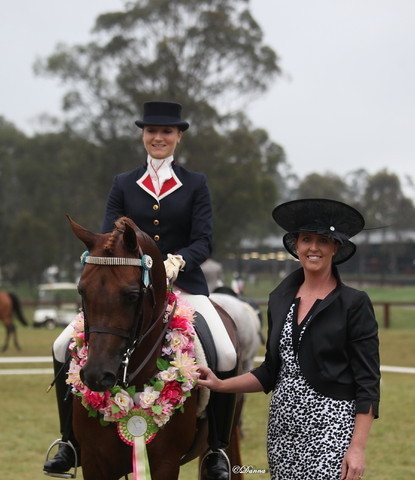 Australian National Arabina Stud Horse Show 2011