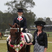 Australian National Arabina Stud Horse Show 2011