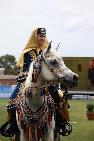 Arabian Horse Breeders Alliance of Australasia - Equitana Sydney 2011