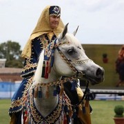 Arabian Horse Breeders Alliance of Australasia - Equitana Sydney 2011