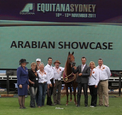 Arabian Horse Breeders Alliance of Australasia - Equitana Sydney 2011