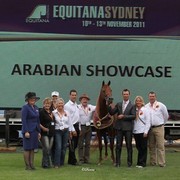 Arabian Horse Breeders Alliance of Australasia - Equitana Sydney 2011