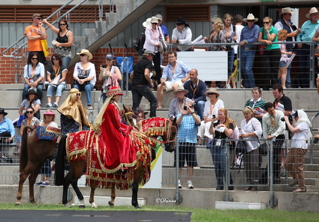 Arabian Horse Breeders Alliance of Australasia - Equitana Sydney 2011