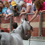 Arabian Horse Breeders Alliance of Australasia - Equitana Sydney 2011