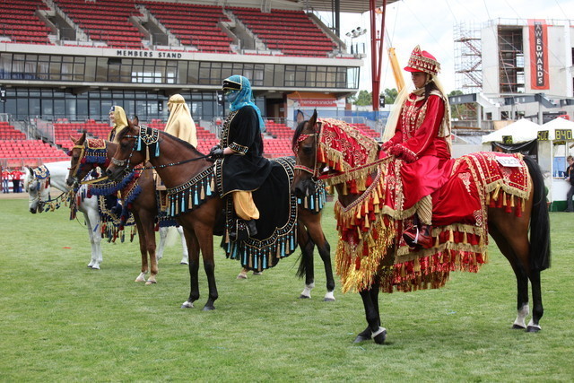 Arabian Horse Breeders Alliance of Australasia - Equitana Sydney 2011