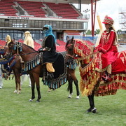 Arabian Horse Breeders Alliance of Australasia - Equitana Sydney 2011