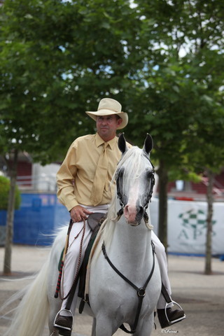 Arabian Horse Breeders Alliance of Australasia - Equitana Sydney 2011