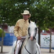 Arabian Horse Breeders Alliance of Australasia - Equitana Sydney 2011