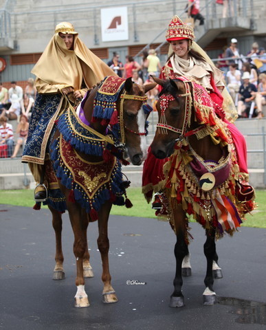 Arabian Horse Breeders Alliance of Australasia - Equitana Sydney 2011
