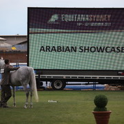 Arabian Horse Breeders Alliance of Australasia - Equitana Sydney 2011