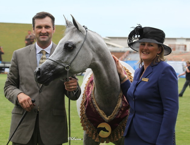Arabian Horse Breeders Alliance of Australasia - Equitana Sydney 2011