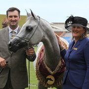 Arabian Horse Breeders Alliance of Australasia - Equitana Sydney 2011