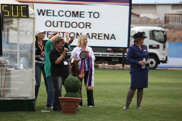 Arabian Horse Breeders Alliance of Australasia - Equitana Sydney 2011