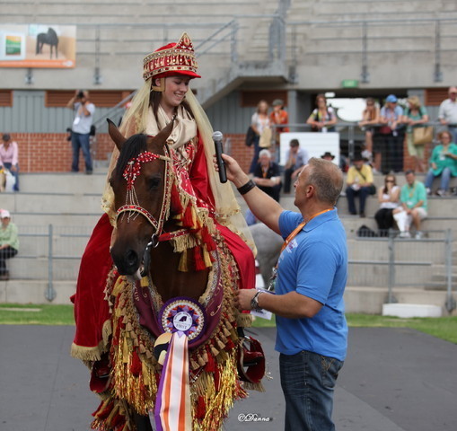 Arabian Horse Breeders Alliance of Australasia - Equitana Sydney 2011
