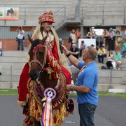 Arabian Horse Breeders Alliance of Australasia - Equitana Sydney 2011
