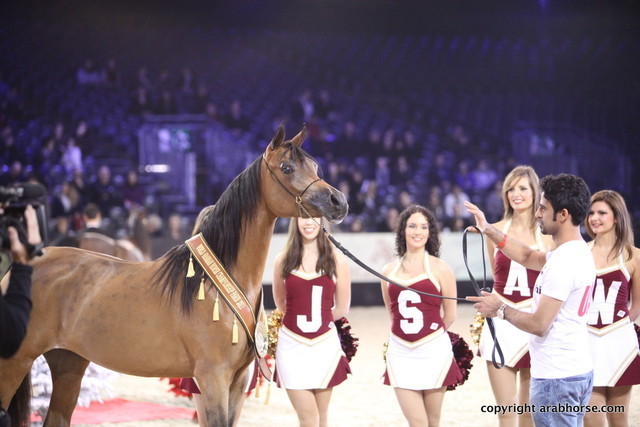 Salon du Cheval - Paris 2011