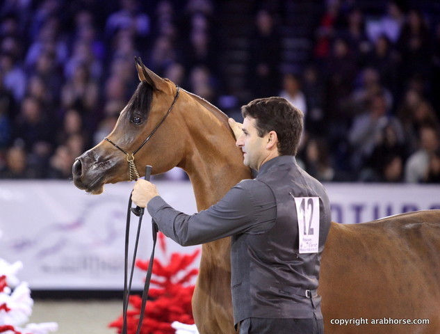 Salon du Cheval - Paris 2011