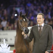 Salon du Cheval - Paris 2011