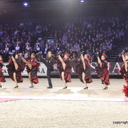 Salon du Cheval - Paris 2011