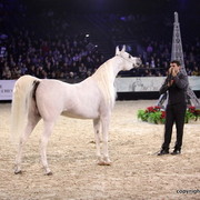 Salon du Cheval - Paris 2011