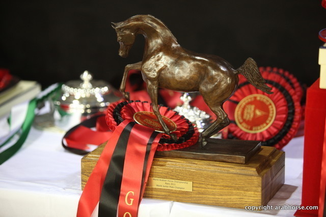 Salon du Cheval - Paris 2011